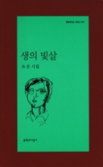 생의 빛살(문학과지성 시인선 374)